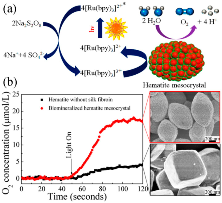 Figure 20