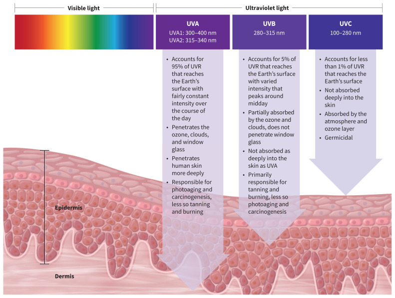 Figure 1: