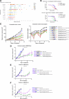 Figure 4. AZD6738 in combination with DNA-damaging chemotherapy. A, Dot plots of in vitro cell line screen with AZD6738 in combination with the indicated DNA damaging chemotherapies. Combination synergy scores (Loewe) were calculated for each cell line and combination where values greater than 5 are considered overall synergistic and values between 1 and 5 overall additive. Each cell line is labeled by a dot. B, Representative example of carboplatin GI50 curve shifts by fixed concentration of AZD6738 in NCI-H23 and LoVo cells in vitro. Efficacy in vivo for carboplatin in combination with AZD6738 in human breast cancer PDX model HBCx-9 at the indicated doses and schedules. C, Antitumor combination efficacy and relative body weight losses are dependent on sequence of AZD6738 administration relative to carboplatin. Dosing on days after carboplatin is required for efficacy. Mean tumor volume ± SEM is shown. Body weight loss for combination with carboplatin is also dependent on sequence of administration, with animals with dosing on days after carboplatin experiencing more, but recoverable body weight losses. Mean body weights at time of treatment relative to starting weights are shown. Statistical differences were assessed on day 7 and day 21 nadir's only. D–F, Efficacy in vivo for irinotecan in combination with AZD6738 in human colorectal cell line xenograft Colo205 using AZD6738 (D) was dosed after irinotecan, low-dose AZD6738 was dosed once daily concurrently with irinotecan (E), or low-dose AZD6738 (F) was dosed twice daily concurrently after twice weekly irinotecan. Mean tumor volume ± SEM is shown. **, P ≤ 0.01; ***, P ≤ 0.001.