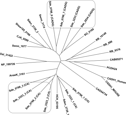 FIG. 2.