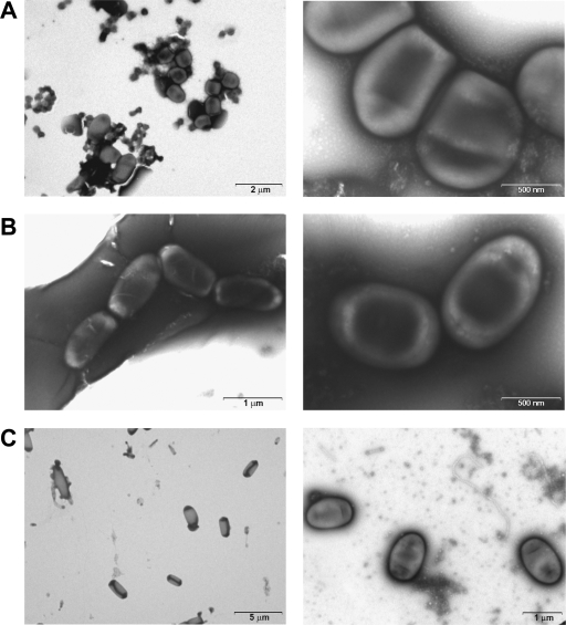 FIG. 6.