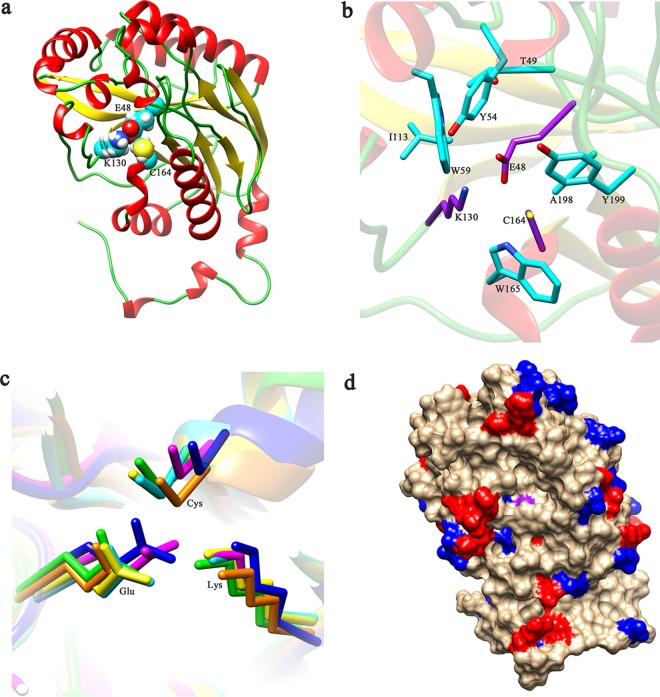 FIG 3