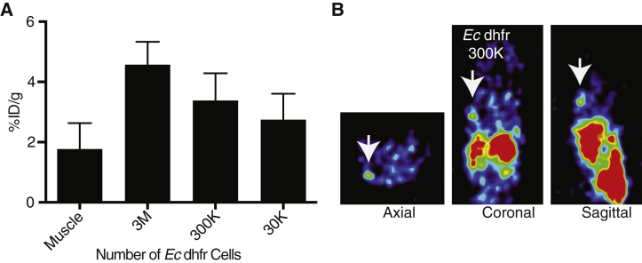 Figure 4