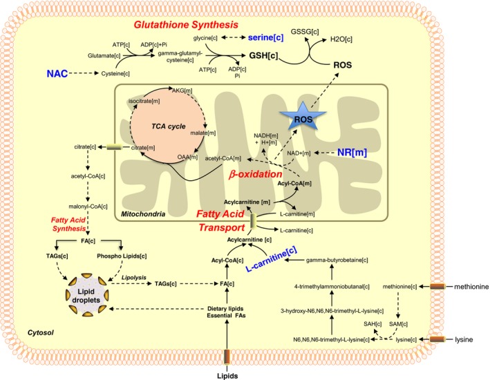 Figure 7