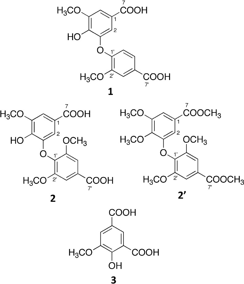 Fig. 4. Chemical structures of 1, 2, 2′, and 3.