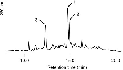 Fig. 2. HPLC analysis of the 60% AcOEt fraction obtained by silica gel column chromatography of the AcOEt layer from the water extract of spent mushroom substrates of Lentinula edodes.