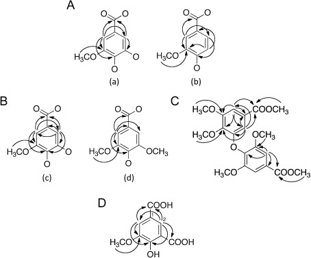 Fig. 3. HMBC correlations detected for 1 (A), 2 (B), 2′ (C), and 3 (D).