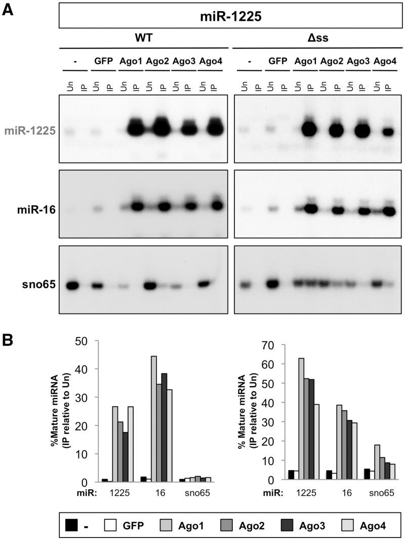 Figure 7.