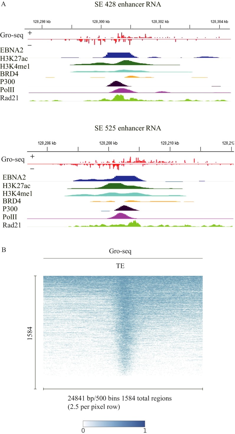 Fig. S1.