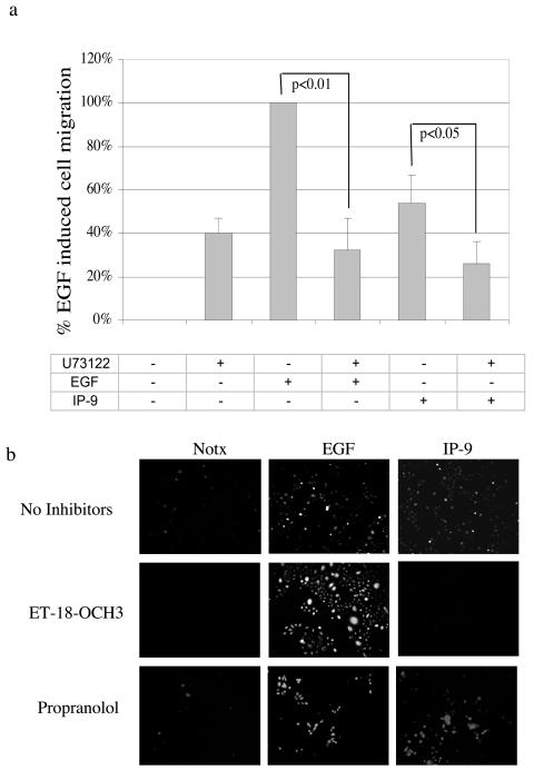 FIG. 11.