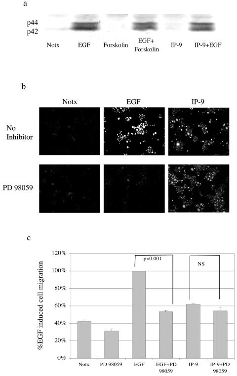 FIG. 10.