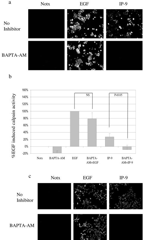 FIG. 9.