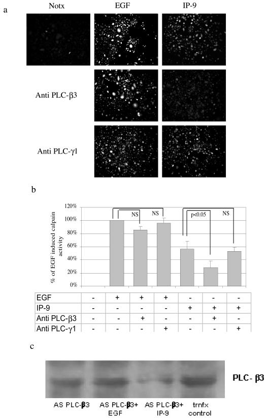 FIG. 12.