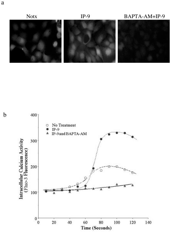 FIG. 8.