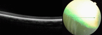 Fig 11