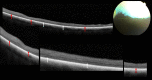 Fig 8