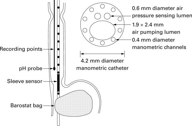 Figure 1  