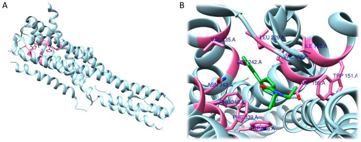 Figure 18