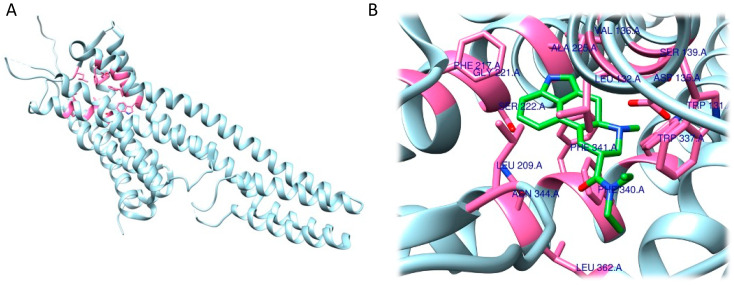 Figure 17