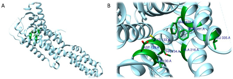 Figure 10