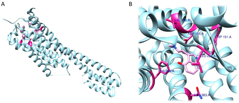 Figure 13