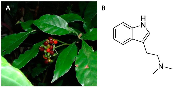 Figure 7