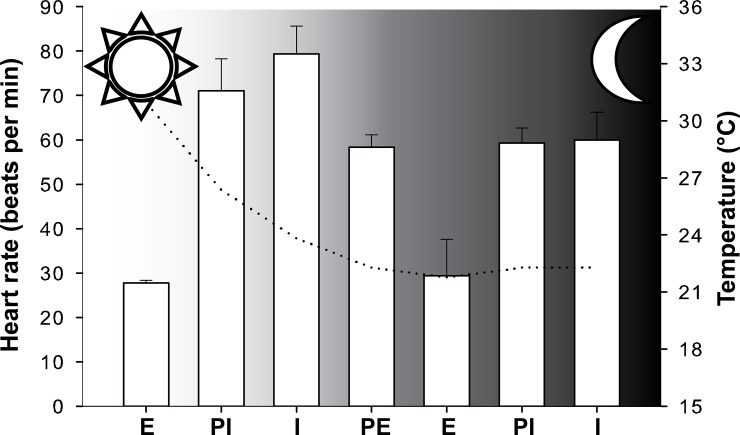 Fig 5