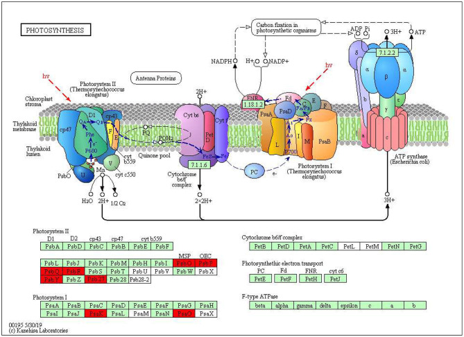 Figure 7