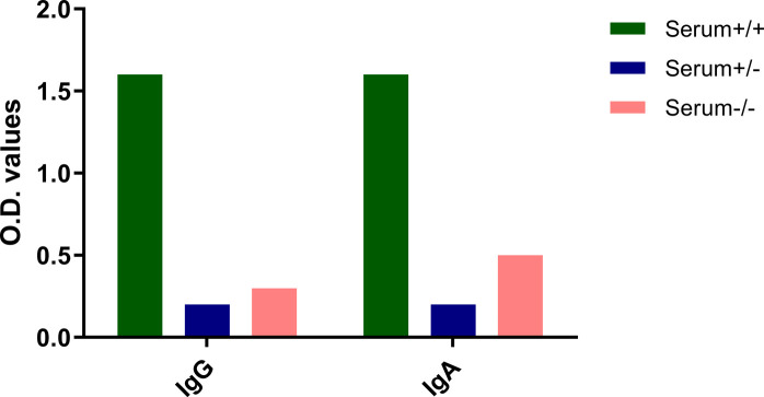 Figure S1.