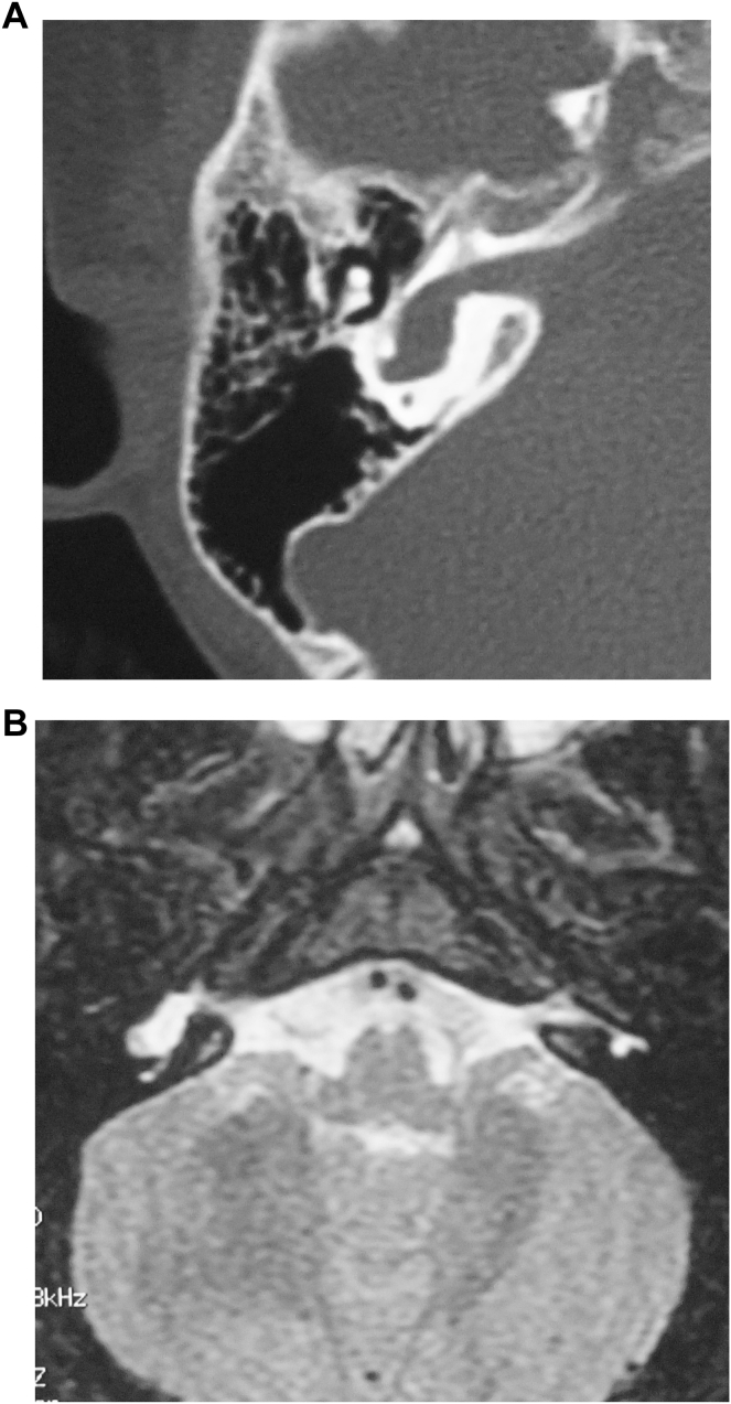 Fig. 6