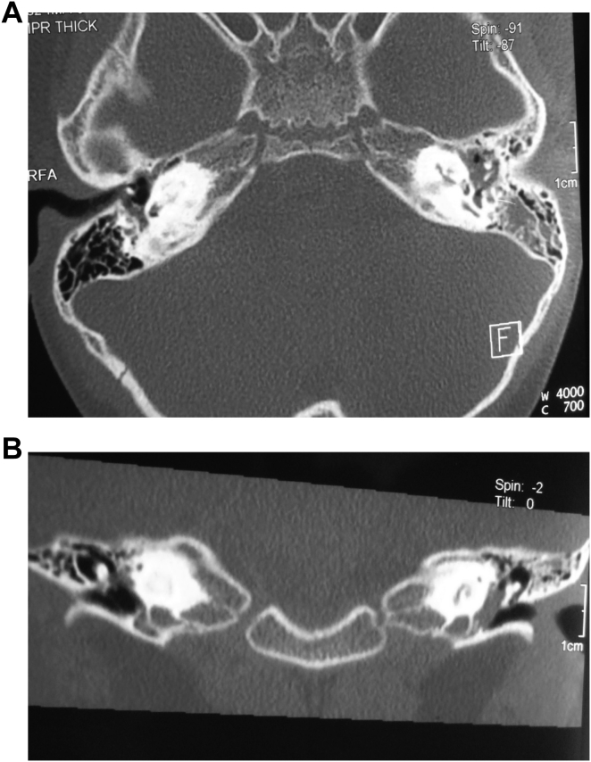 Fig. 7