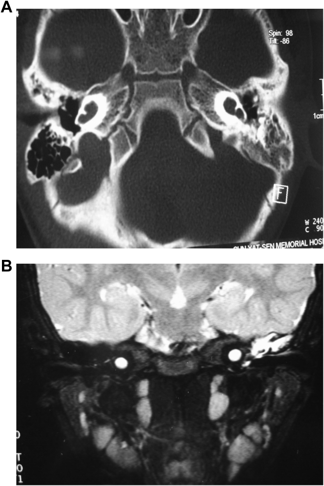 Fig. 5