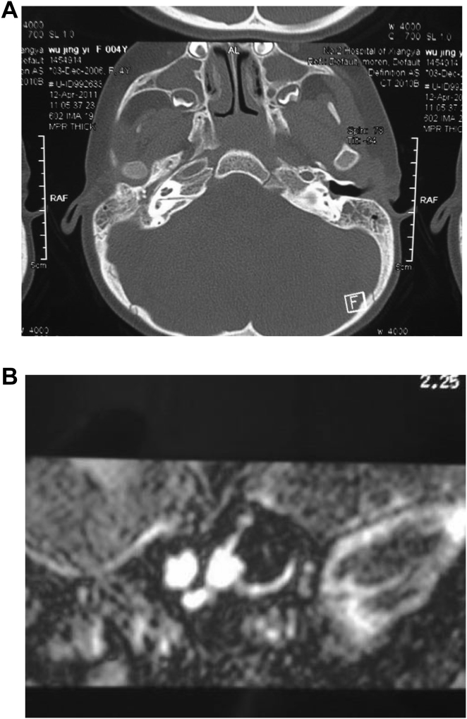 Fig. 8