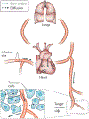 Figure 1 ∣