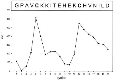 FIG. 6