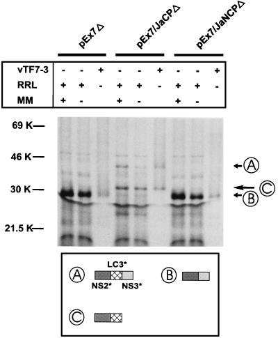 FIG. 5