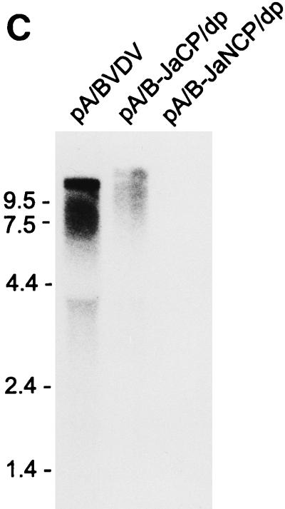 FIG. 8