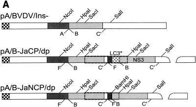 FIG. 8