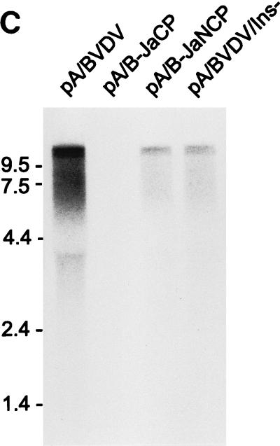 FIG. 7