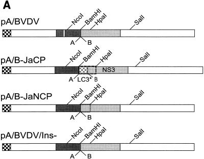 FIG. 7