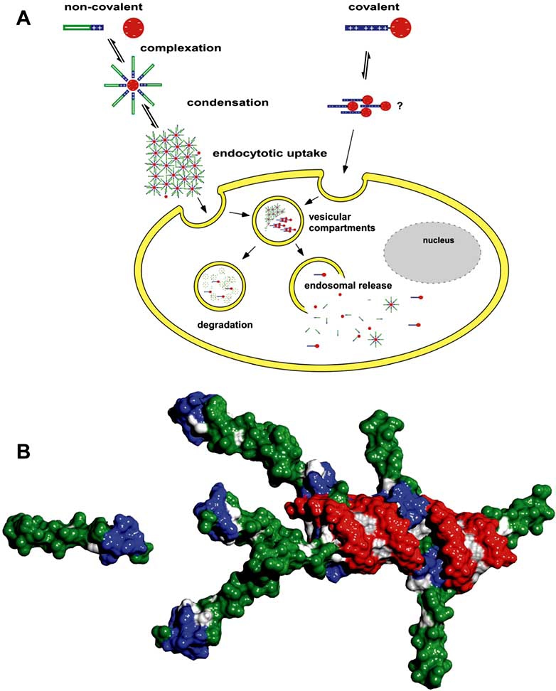 Fig. (1)