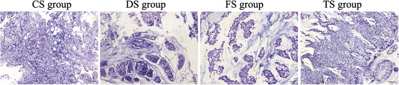 Fig. 9