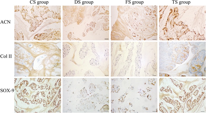 Fig. 10