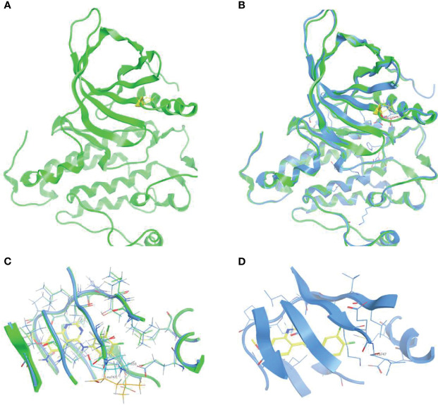 Figure 1