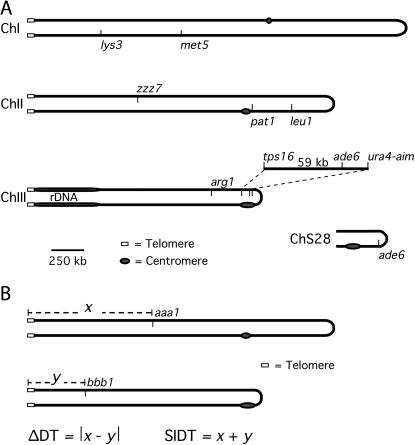 Figure 1.—