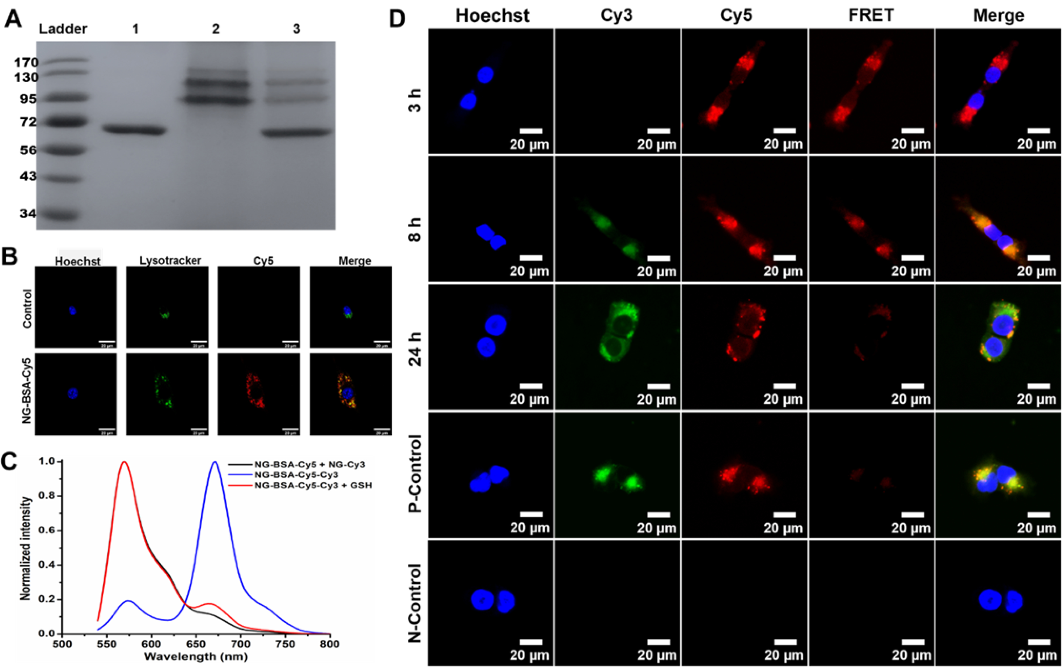 Figure 2.