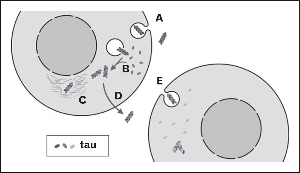 FIGURE 1