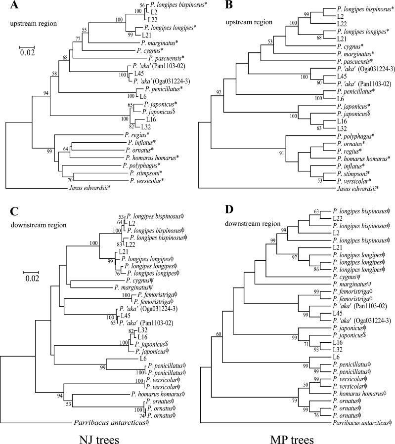 Fig. 2