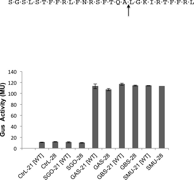 FIG 5