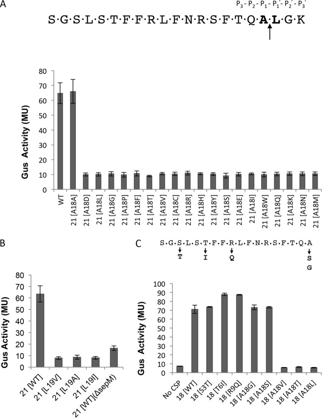 FIG 2